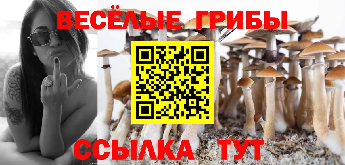 Красноуфимск  Псилоцибиновые грибы Psilocybe  купить наркоту  Вход с VPN 