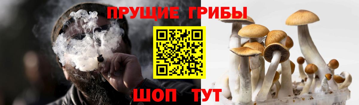 Галлюциногенные грибы MAGIC MUSHROOMS Красноуфимск
